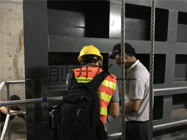 ���F���������T�S��